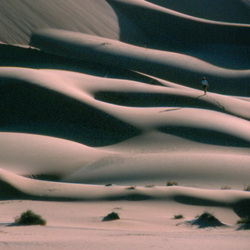 Sand dunes in the Empty Quarter, Oman